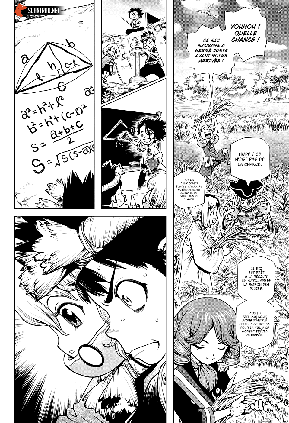 Read Dr. Stone FR Manga Online
