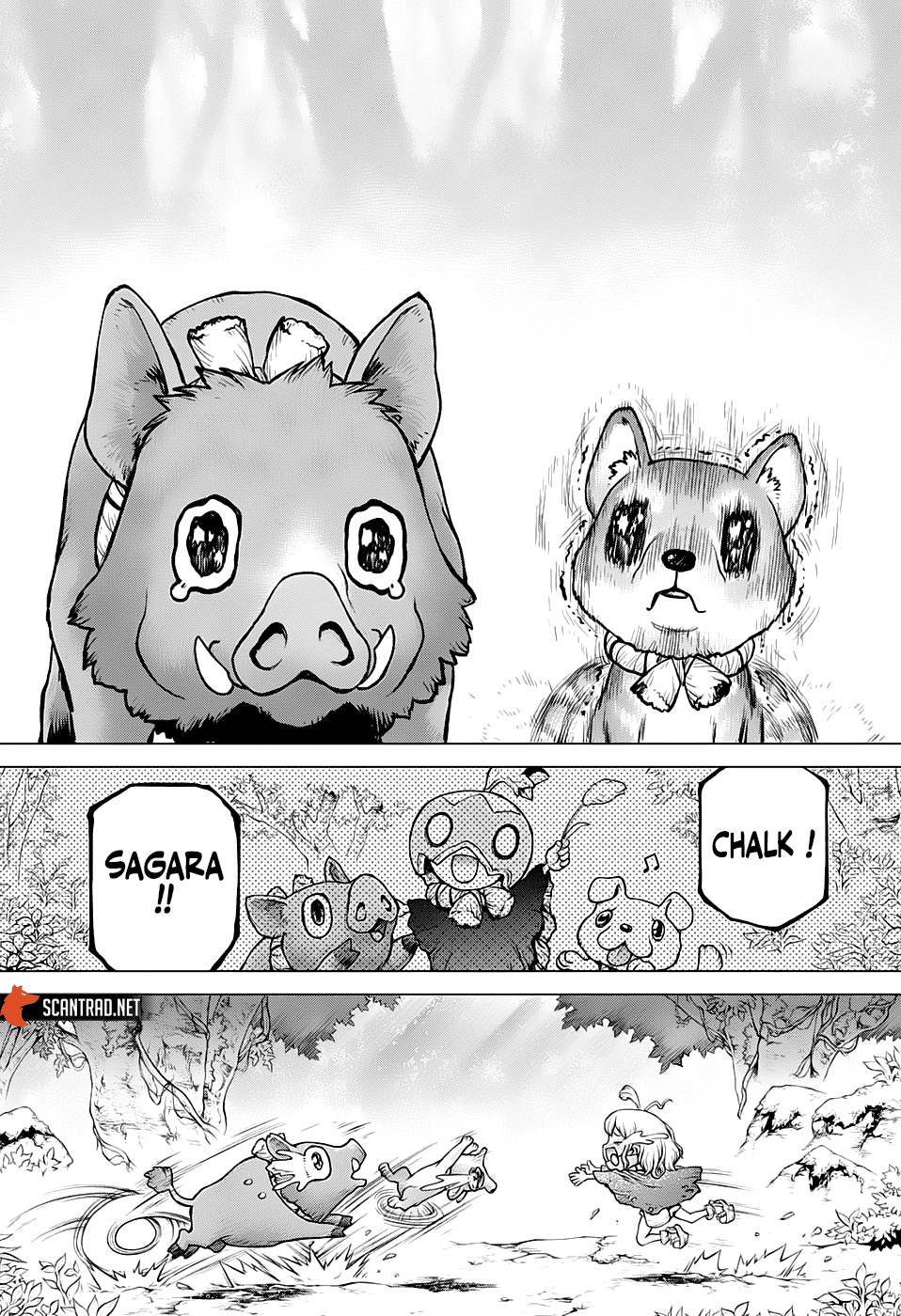 Read Dr. Stone FR Manga Online