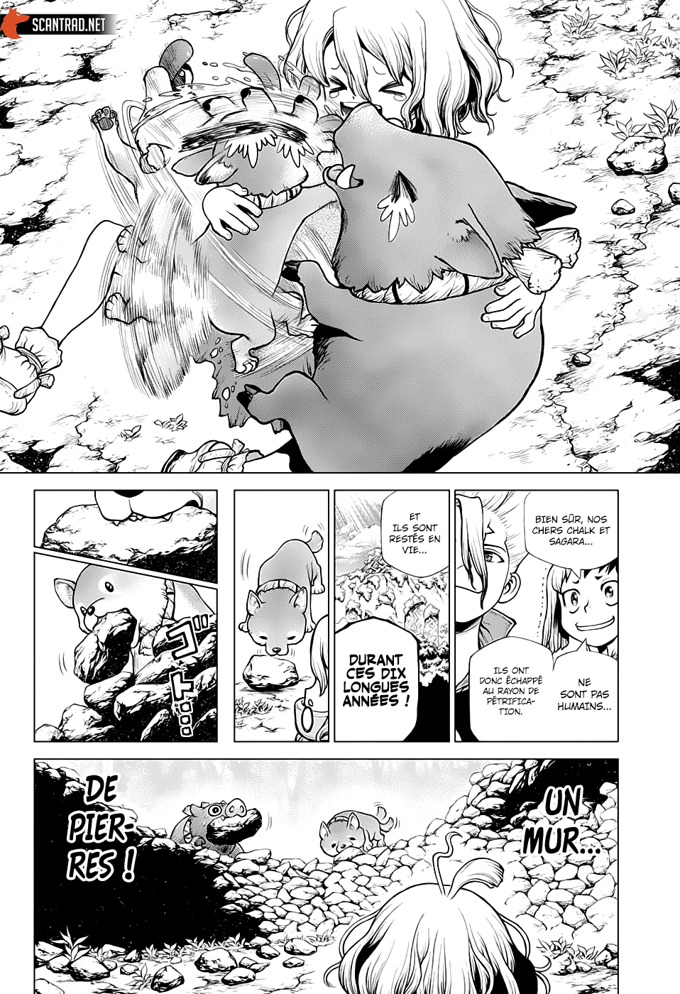 Read Dr. Stone FR Manga Online