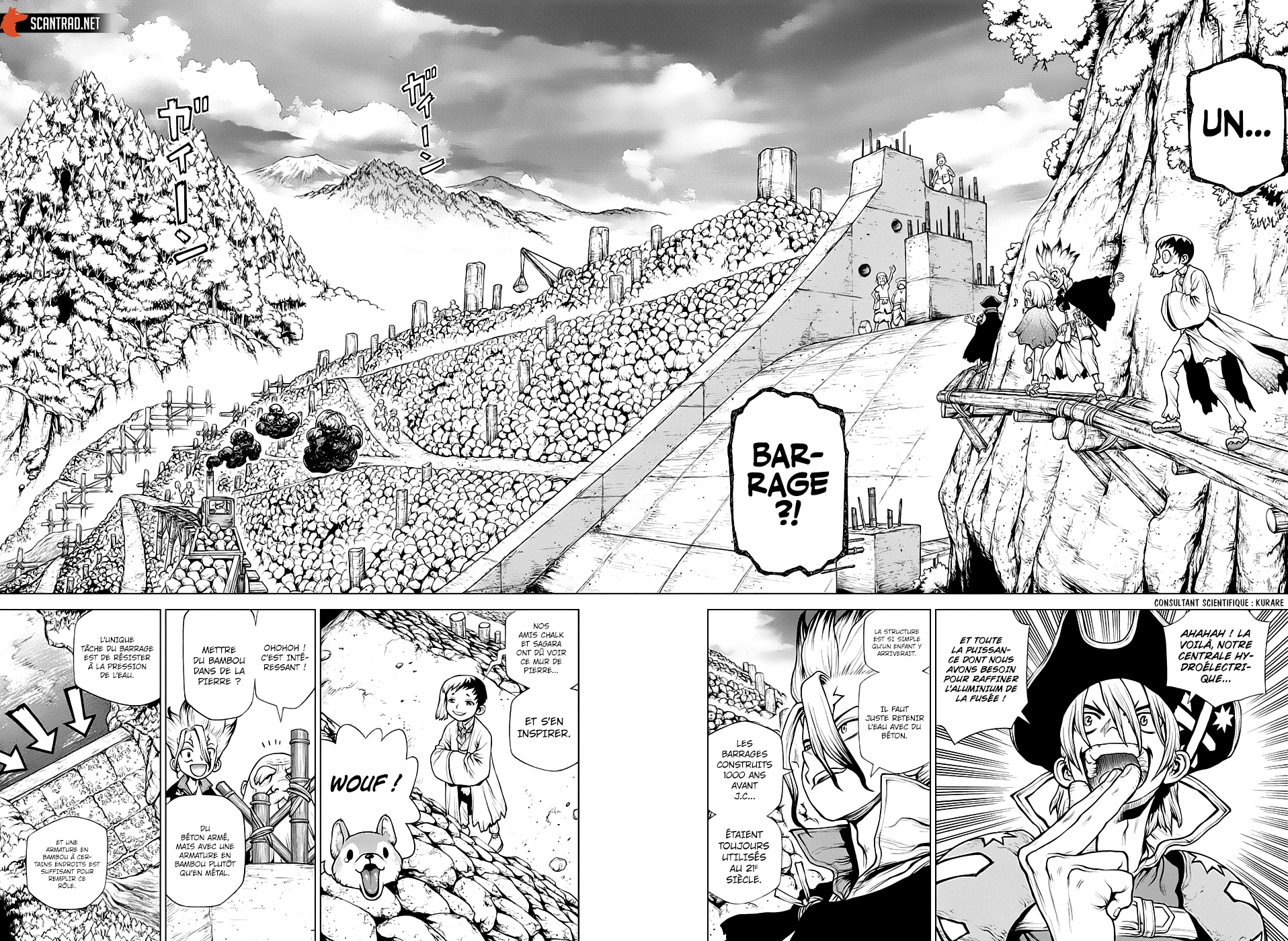 Read Dr. Stone FR Manga Online