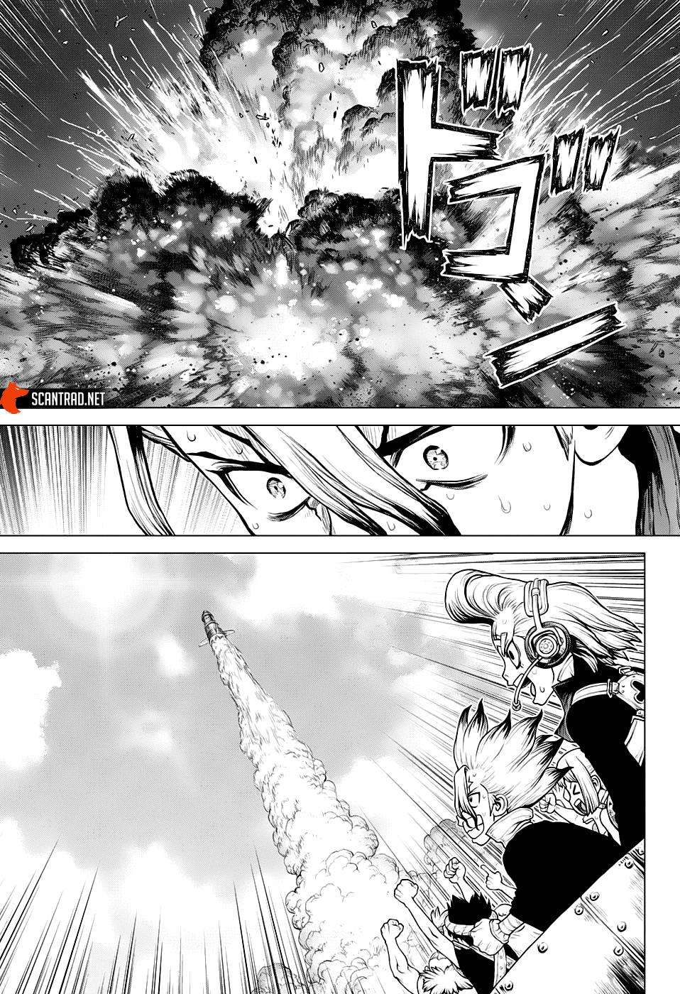Read Dr. Stone FR Manga Online