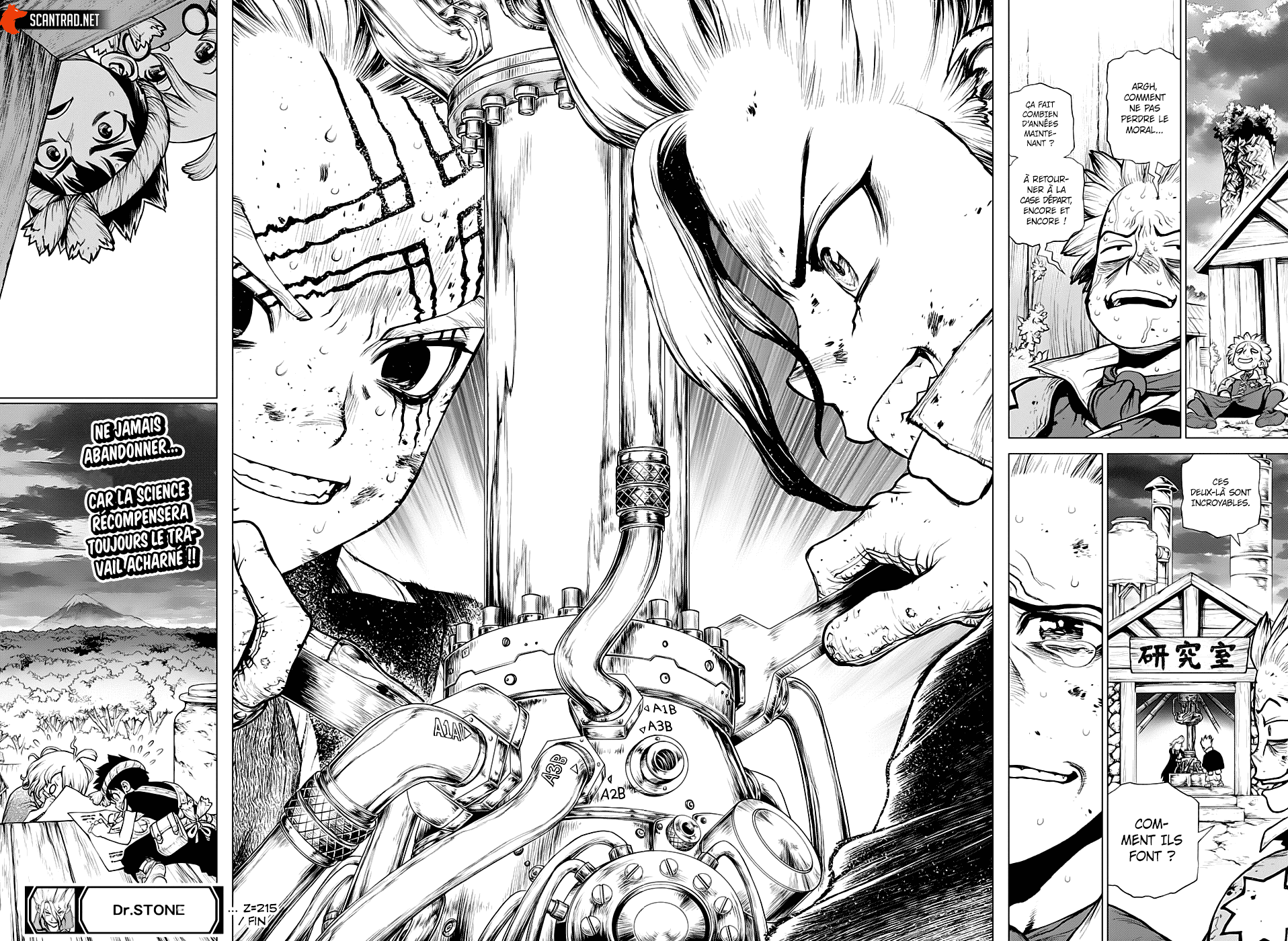 Read Dr. Stone FR Manga Online