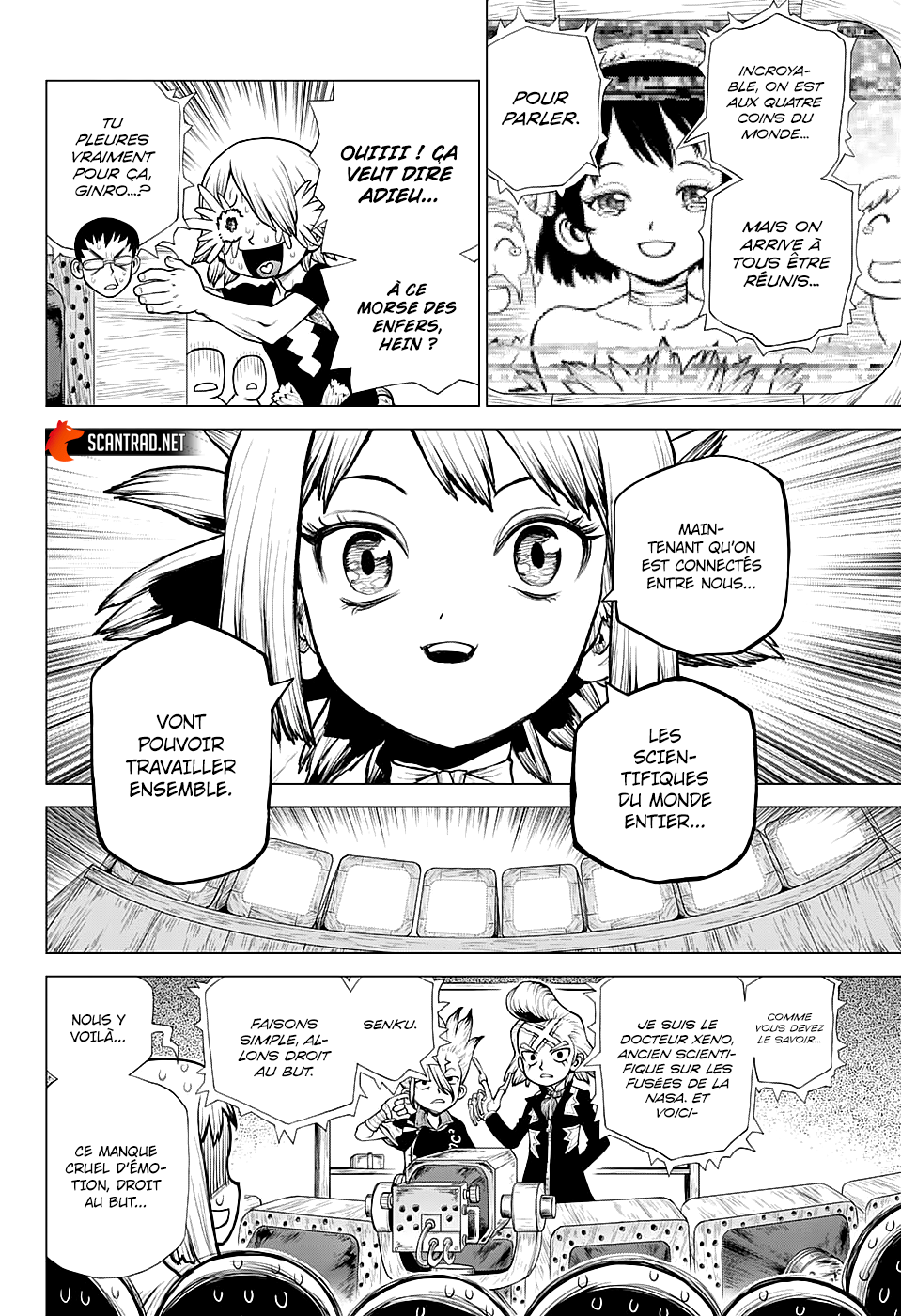 Read Dr. Stone FR Manga Online