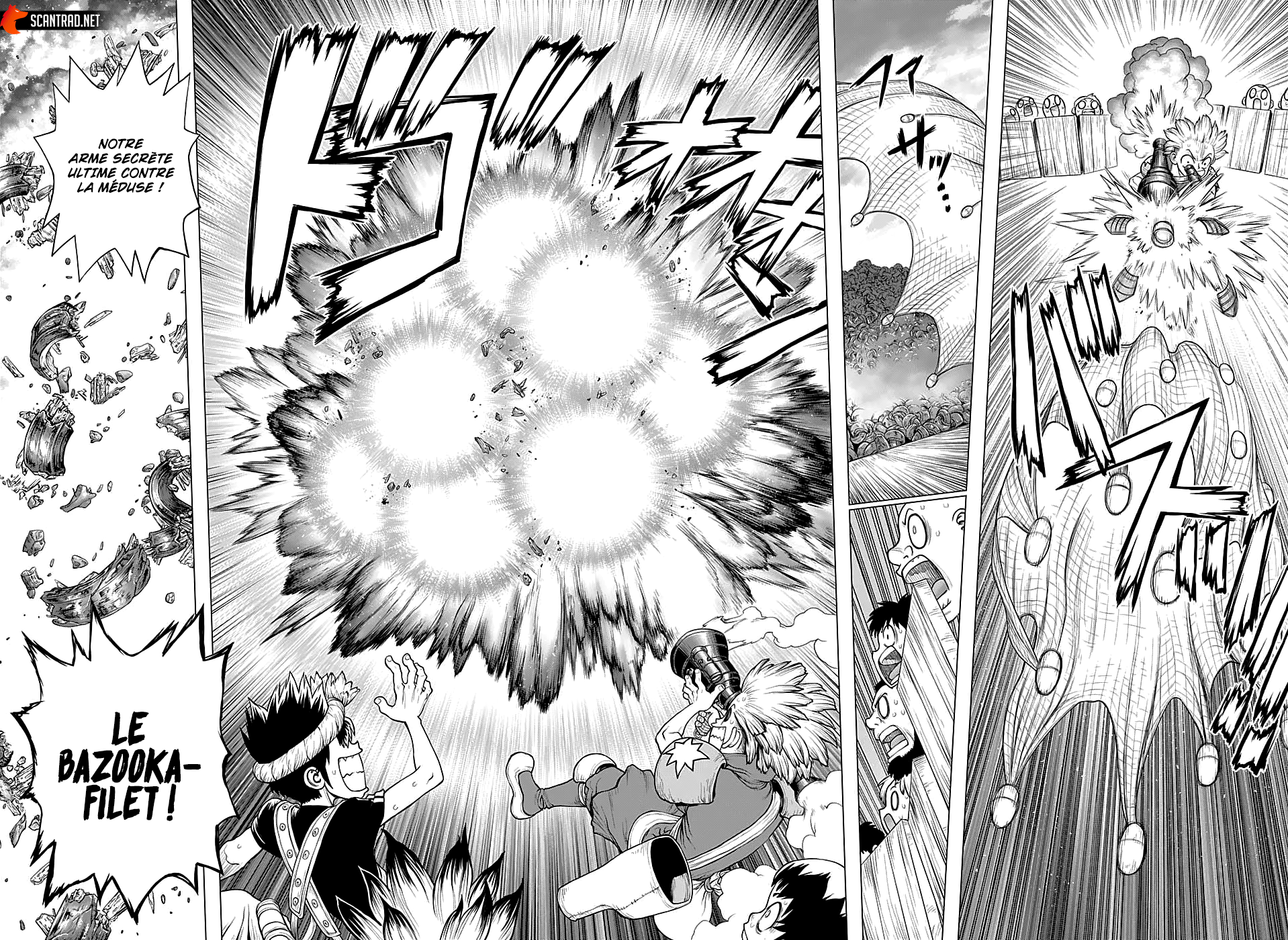 Read Dr. Stone FR Manga Online