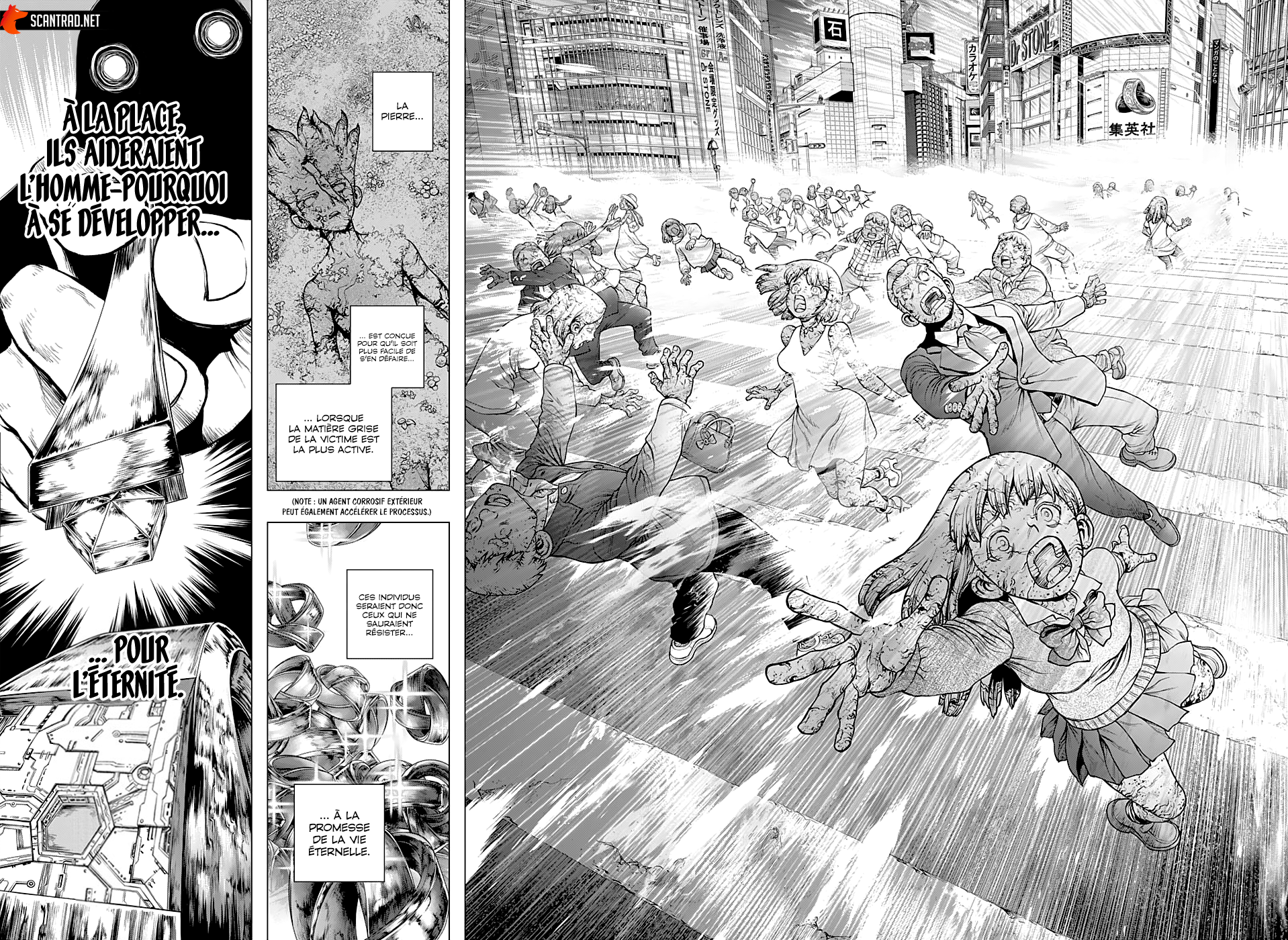 Read Dr. Stone FR Manga Online