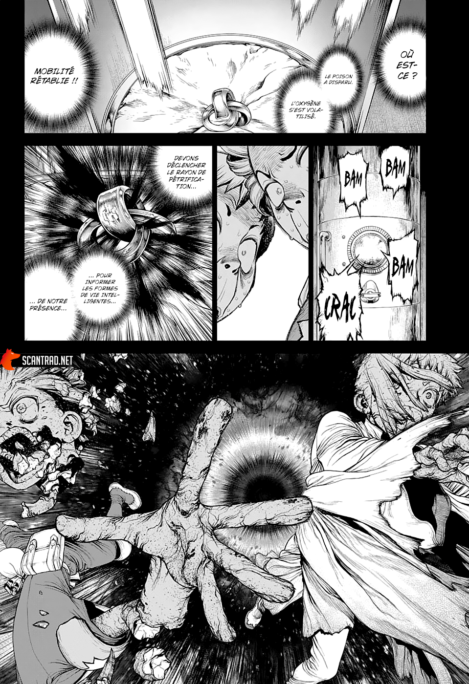 Read Dr. Stone FR Manga Online