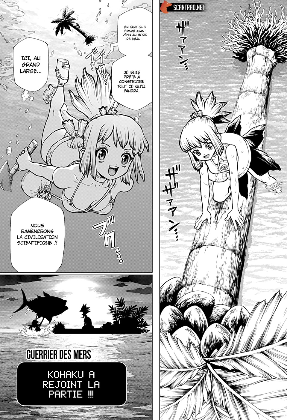 Read Dr. Stone FR Manga Online
