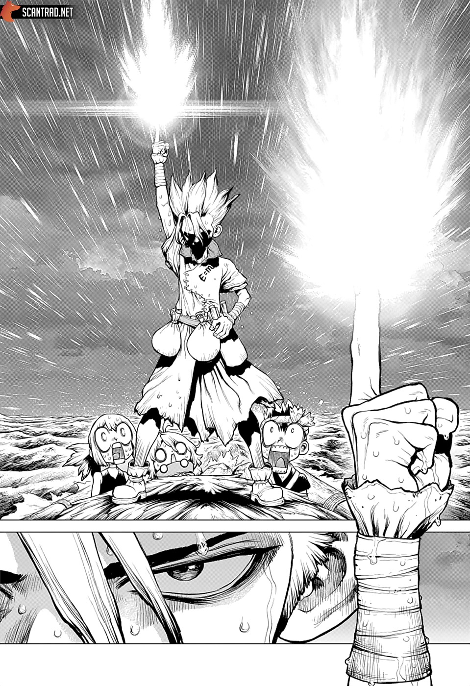 Read Dr. Stone FR Manga Online