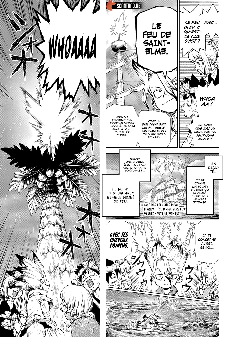 Read Dr. Stone FR Manga Online