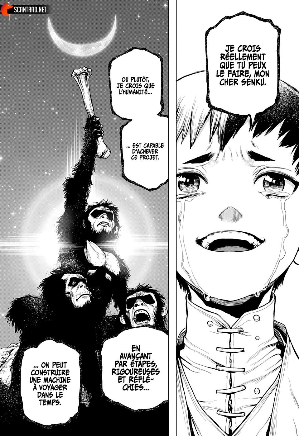 Read Dr. Stone FR Manga Online