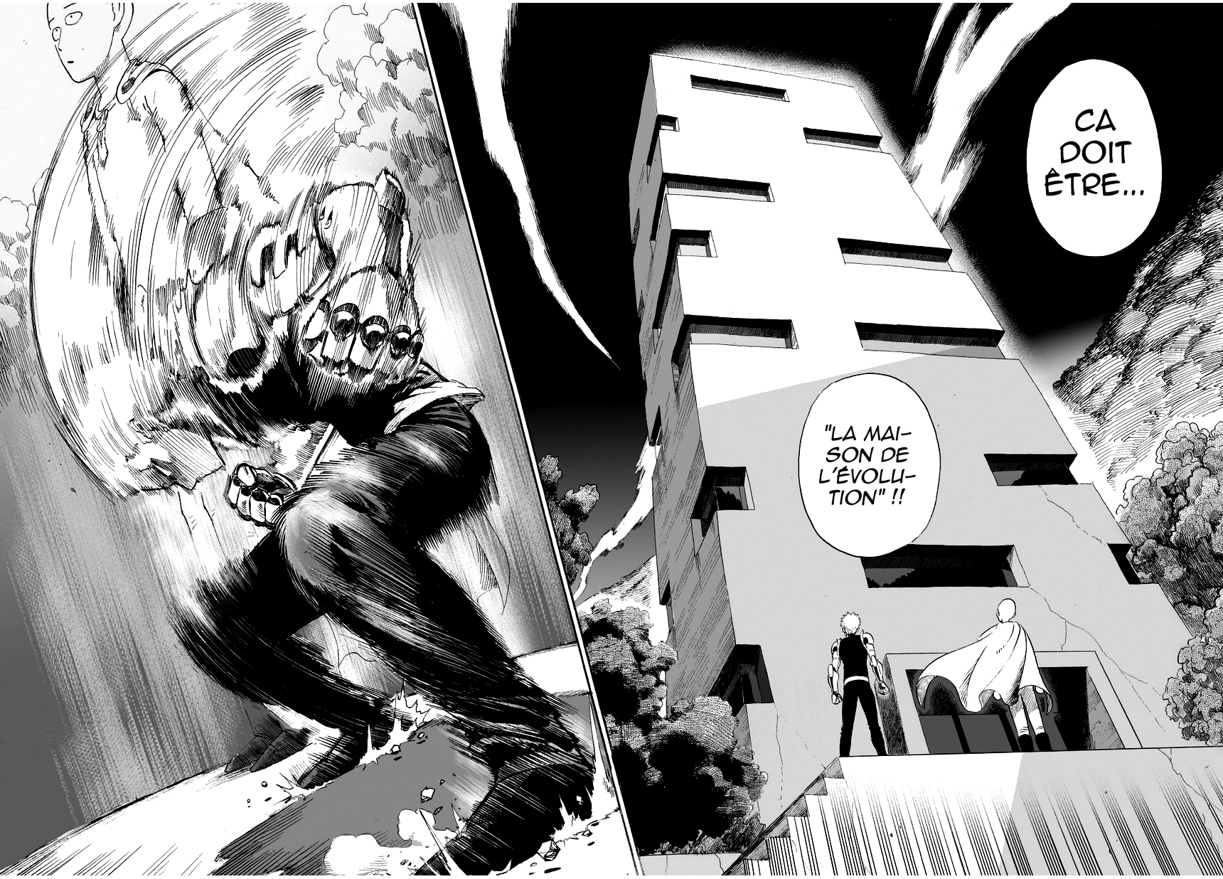Read One Punch man FR Manga Online
