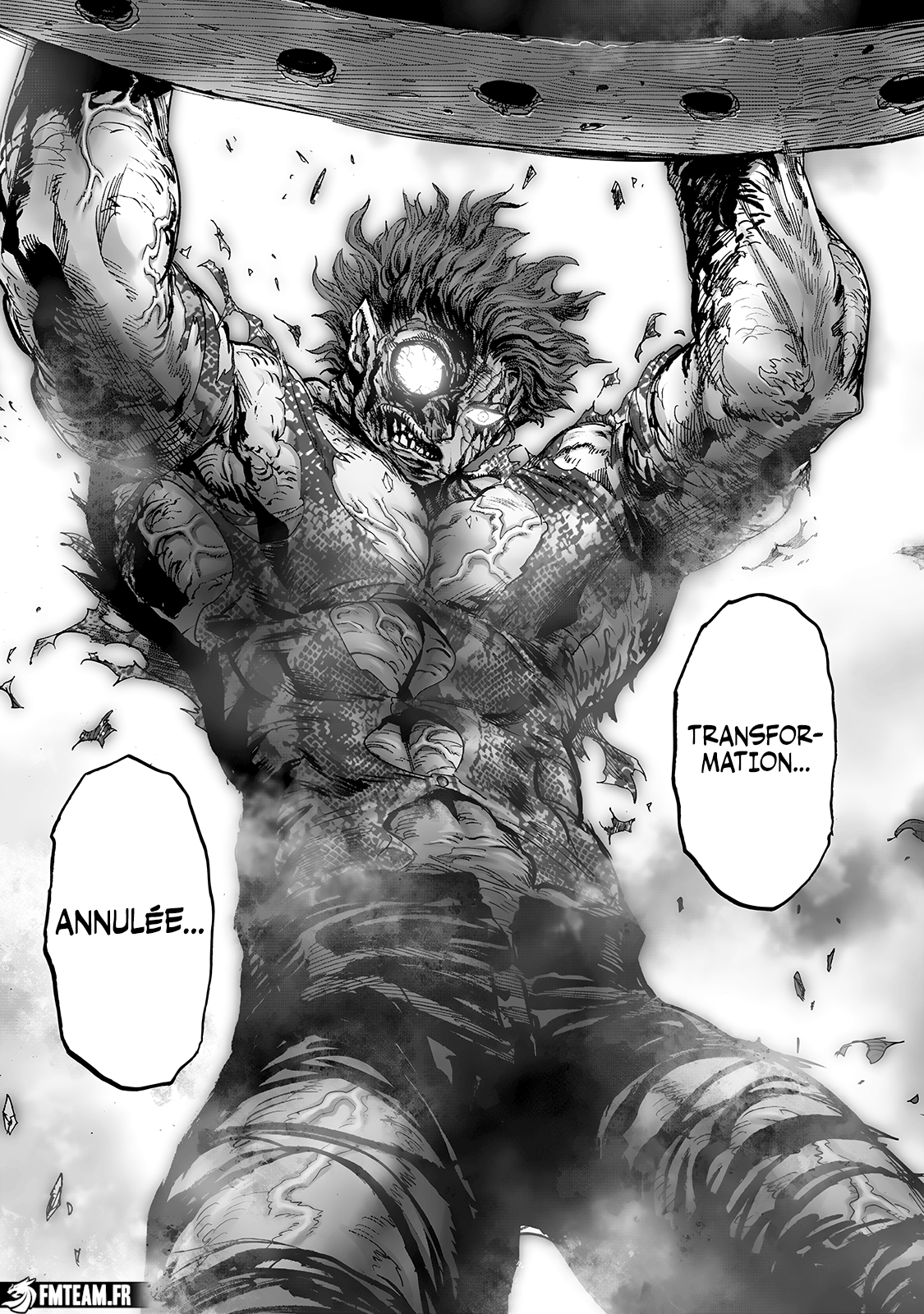 Read One Punch man FR Manga Online