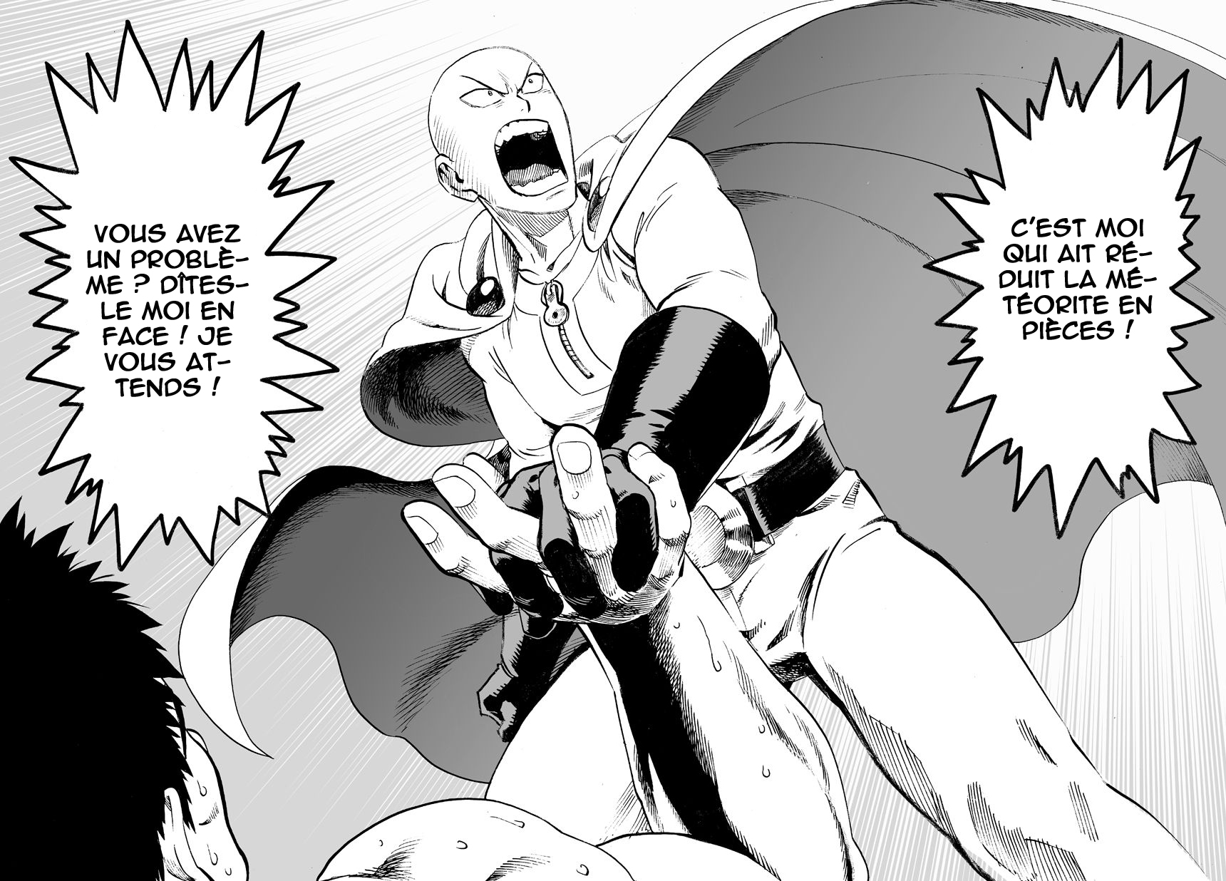 Read One Punch man FR Manga Online