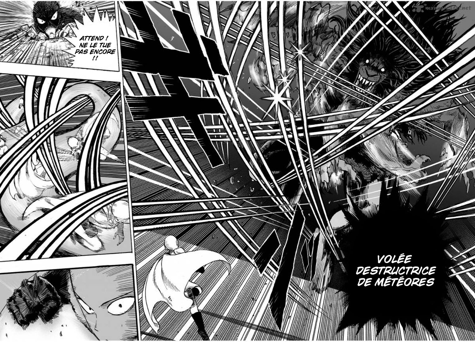 Read One Punch man FR Manga Online