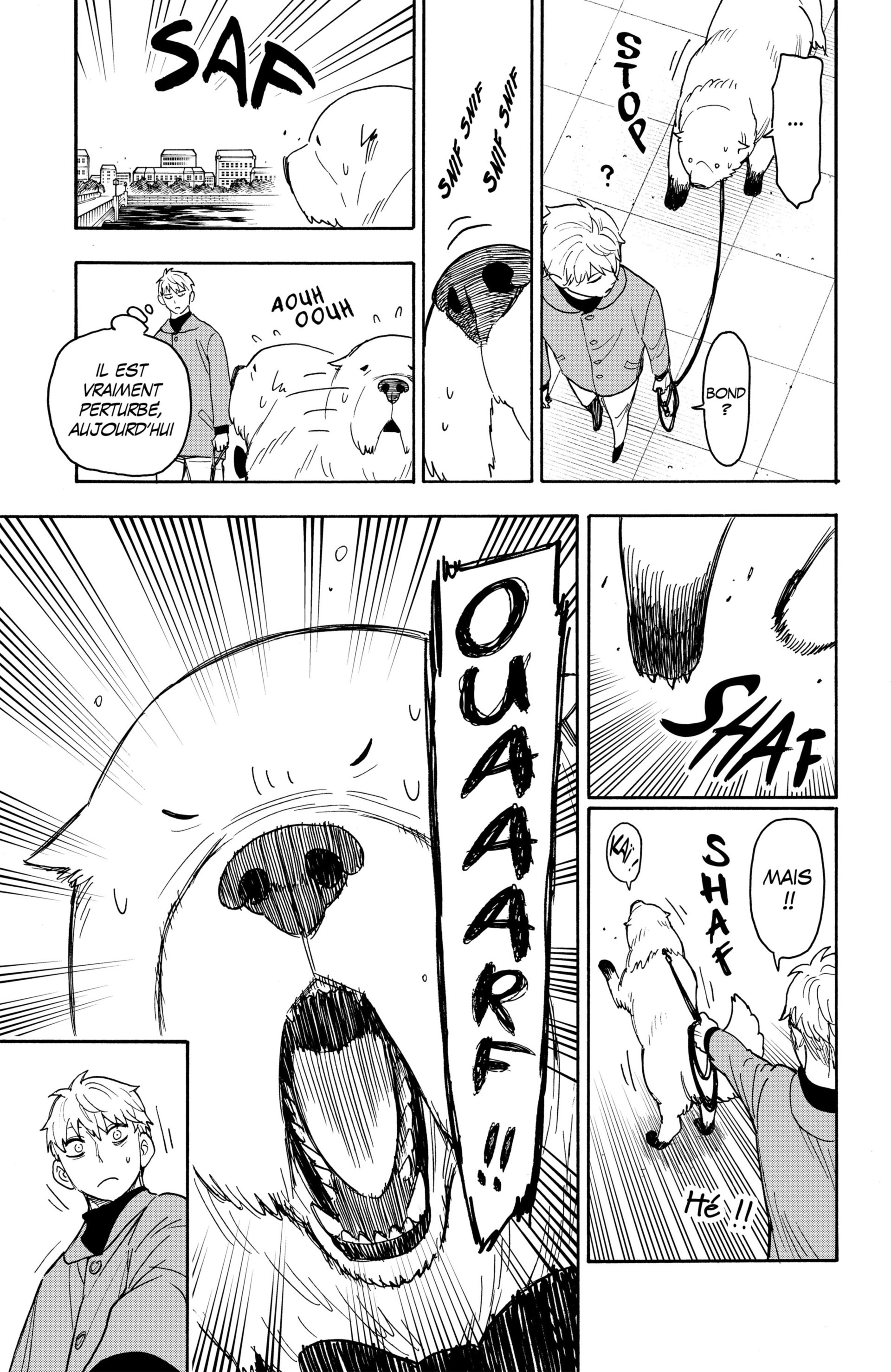 Read Spy X Family FR Manga Online