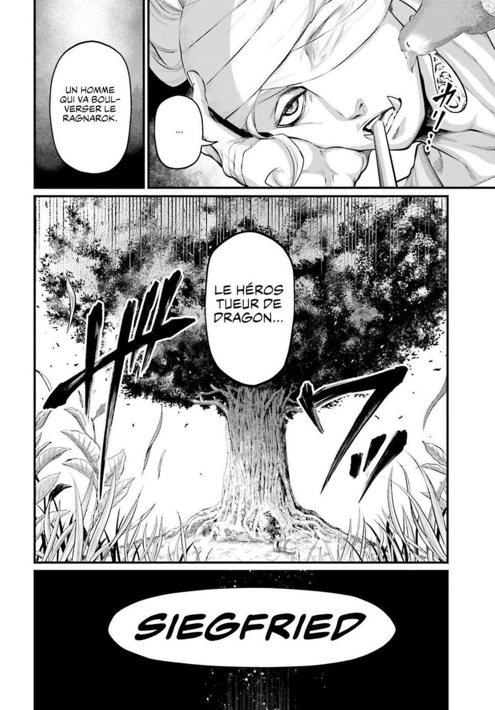Read Valkyrie Apocalypse fr Manga Online