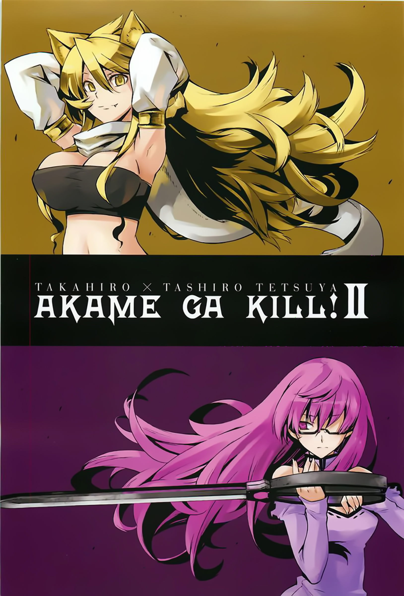 Read Akame ga Kill! DE Manga Online