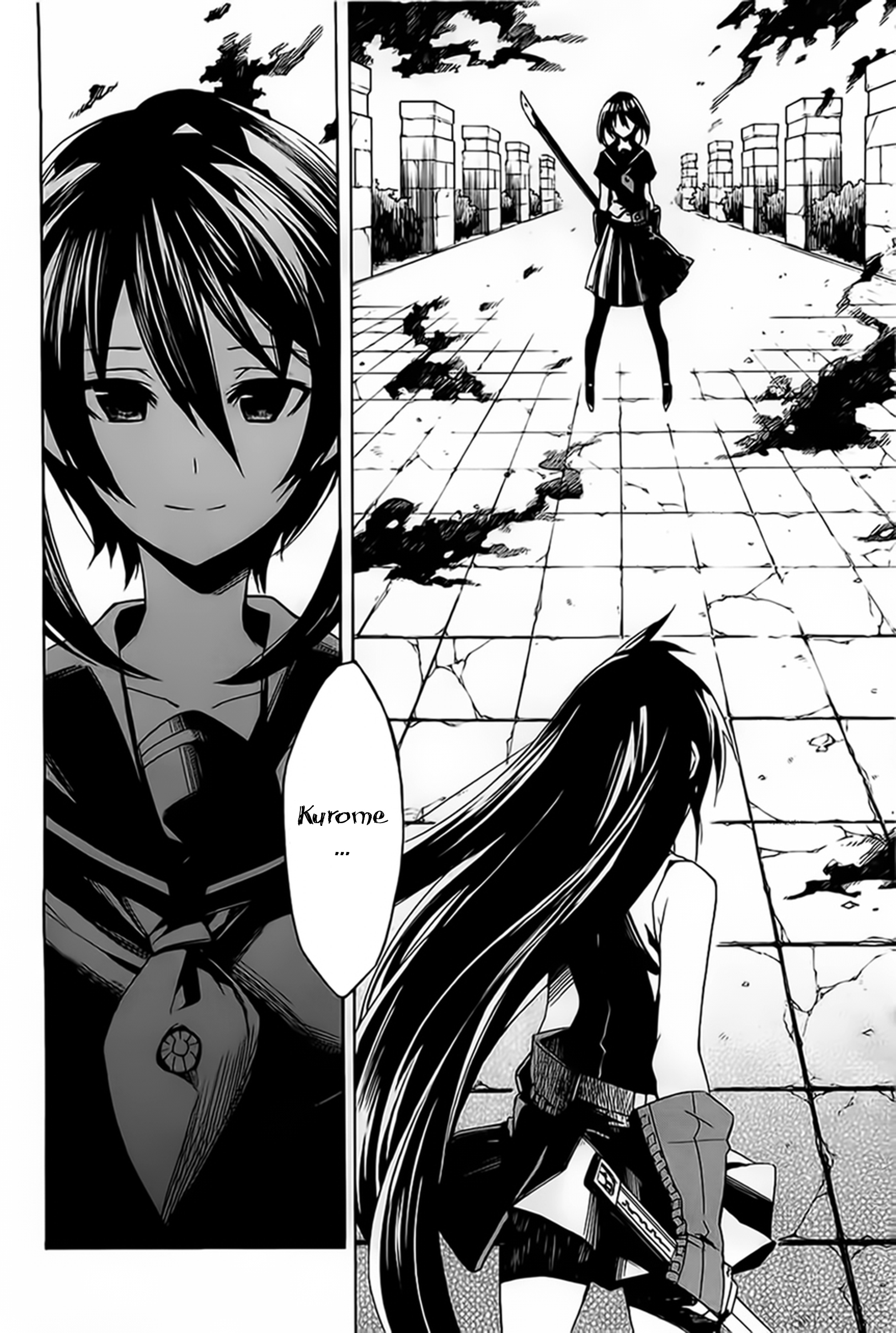 Read Akame ga Kill! DE Manga Online