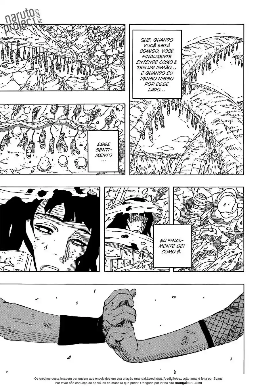 Read Naruto BR Manga Online