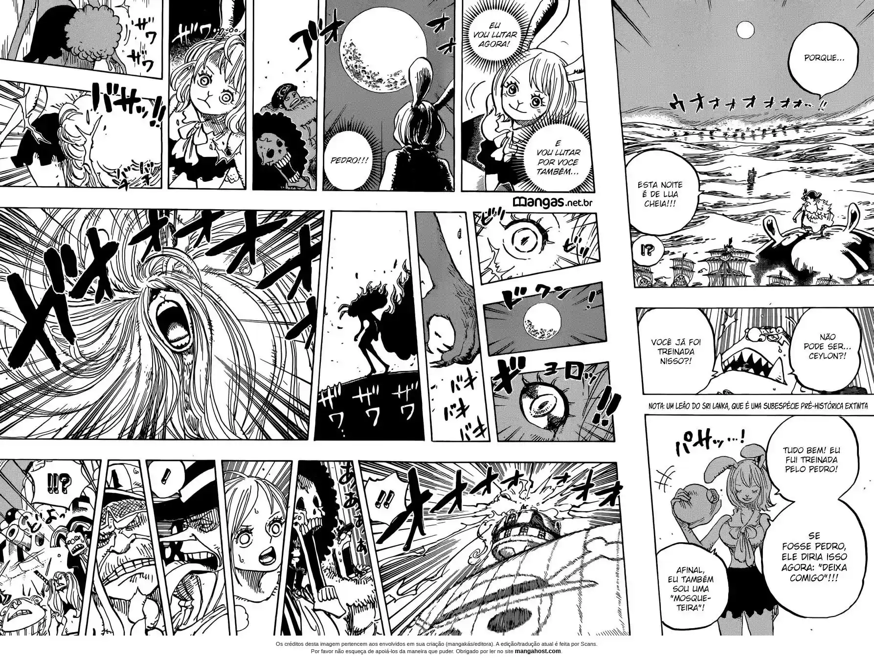 Read One Piece BR Manga Online