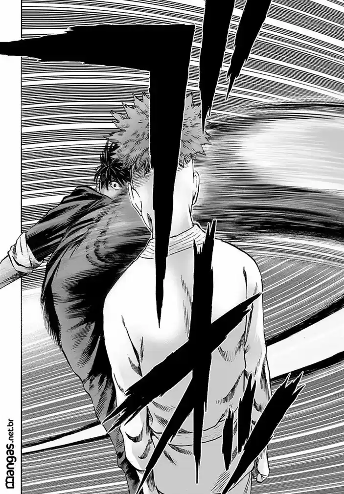 Read One punch man BR Manga Online