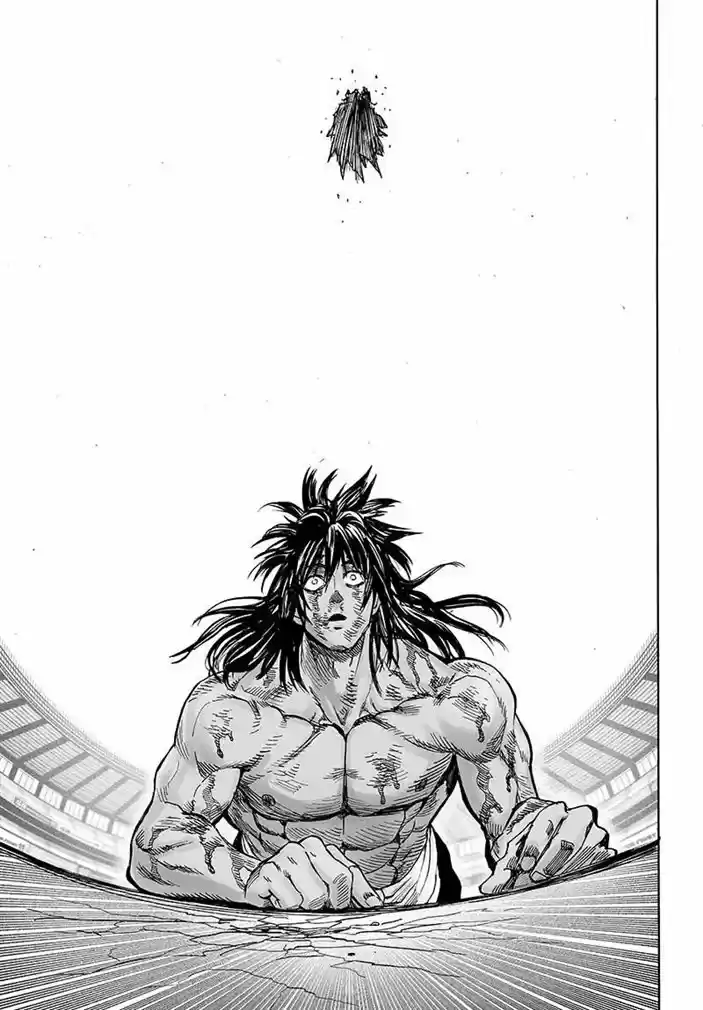 Read One punch man BR Manga Online