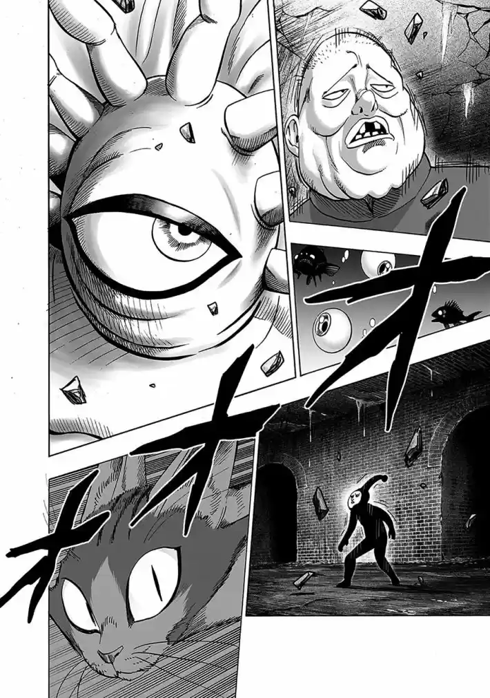 Read One punch man BR Manga Online