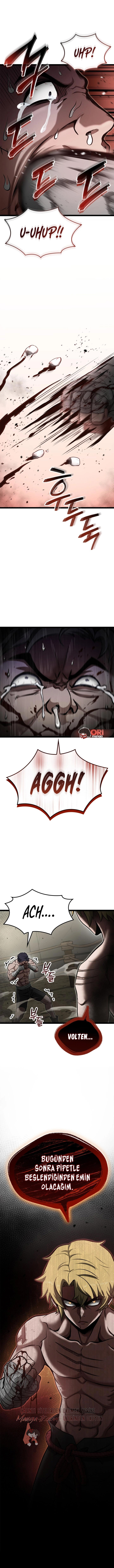 Read Şampiyon Kalli tr Manga Online