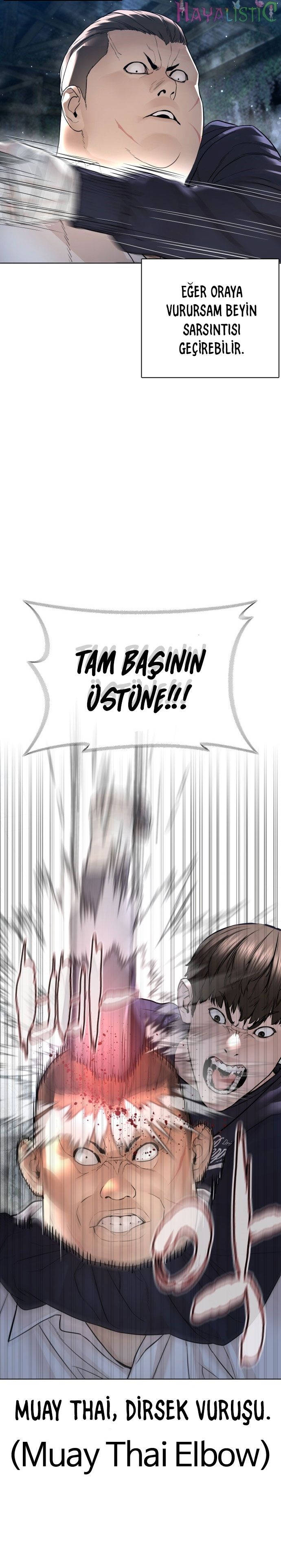 Read How To Fight tr Manga Online