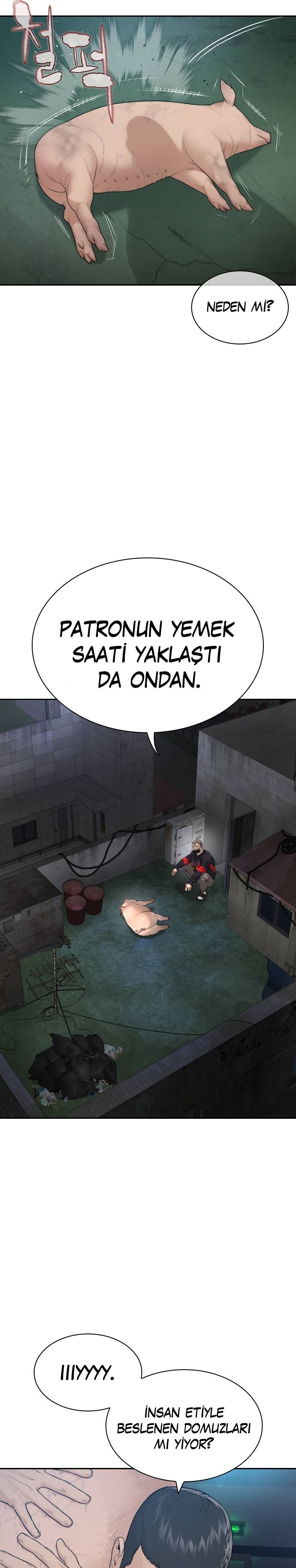 Read How To Fight tr Manga Online