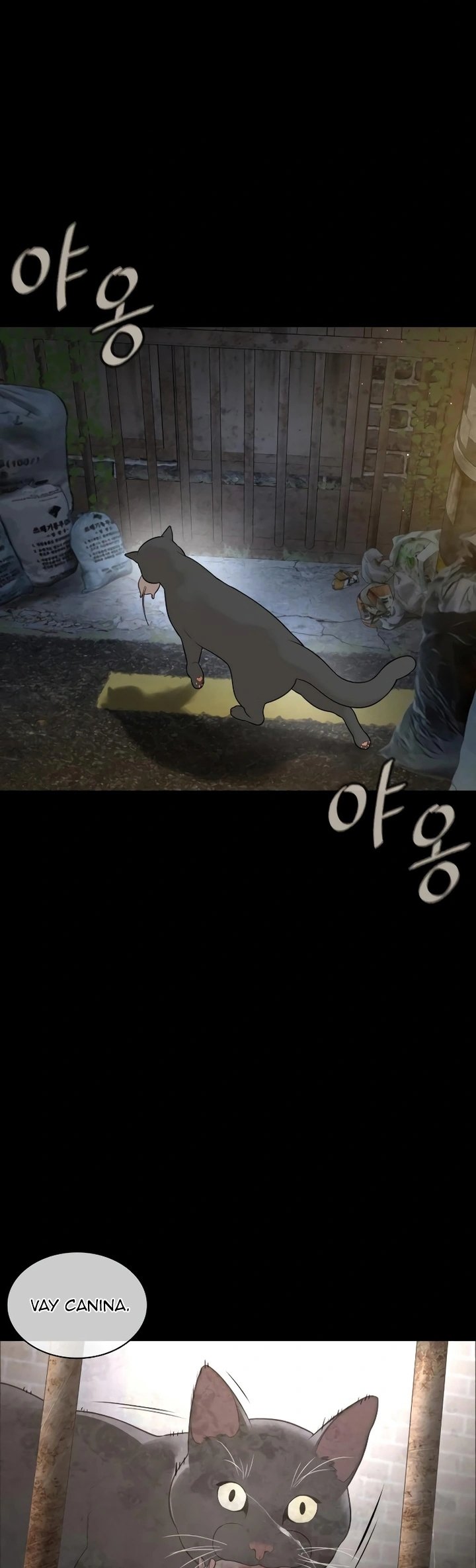 Read How To Fight tr Manga Online