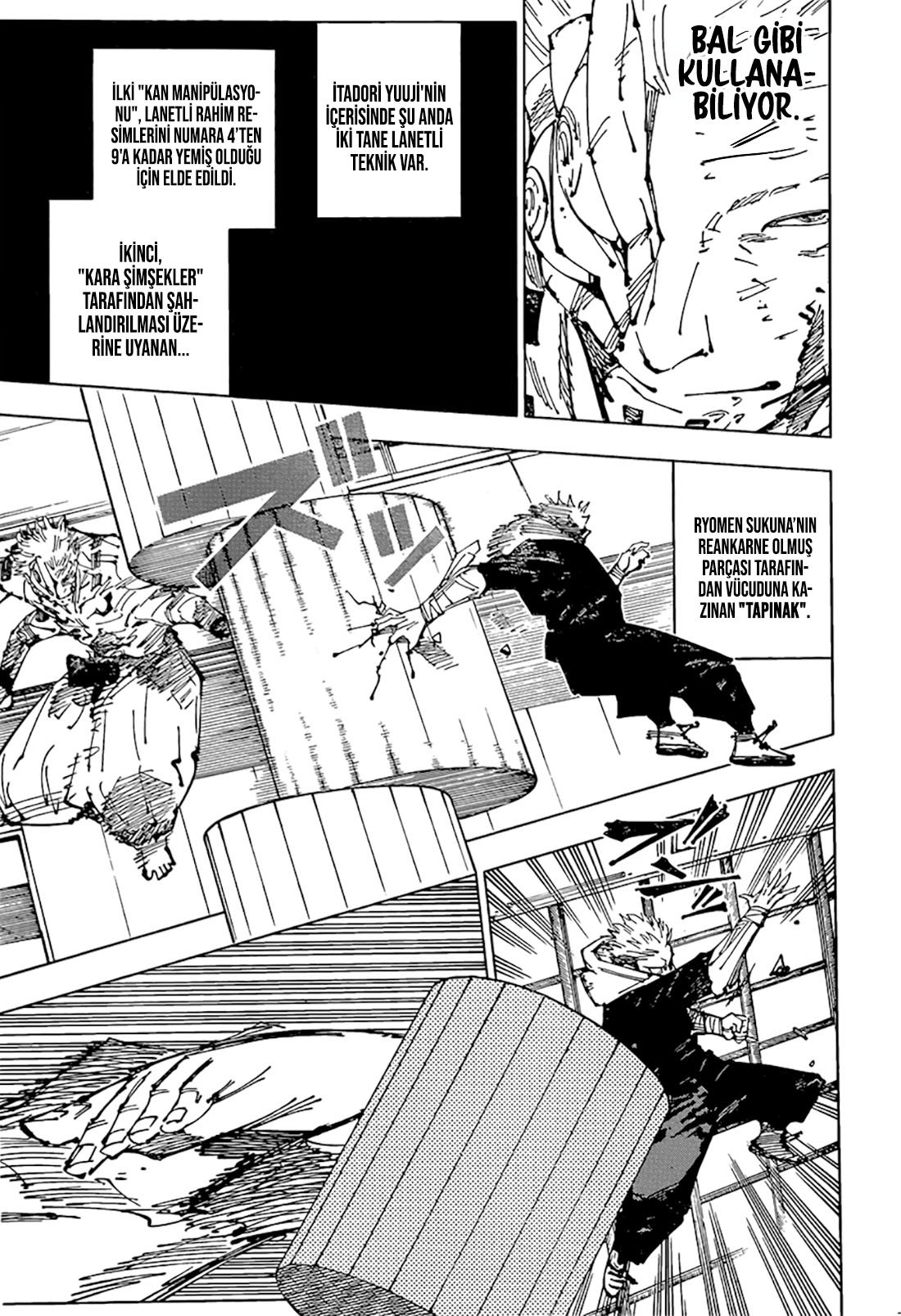 Read Jujutsu Kaisen tr Manga Online