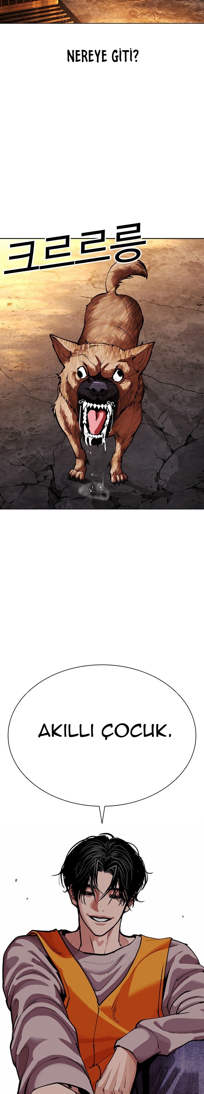 Read Lookism tr Manga Online