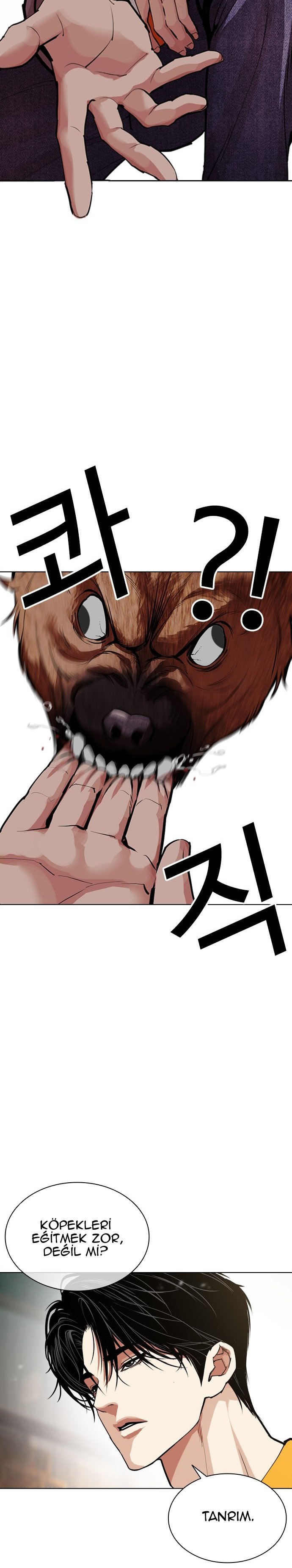 Read Lookism tr Manga Online