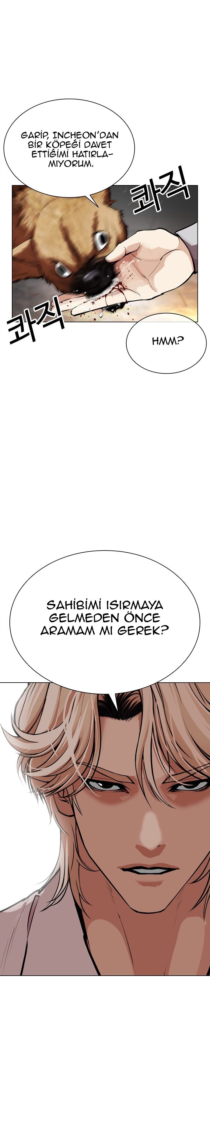 Read Lookism tr Manga Online